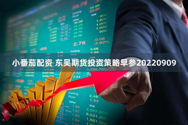 小番茄配资 东吴期货投资策略早参20220909