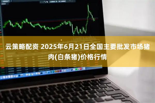 云策略配资 2025年6月21日全国主要批发市场猪肉(白条猪)价格行情