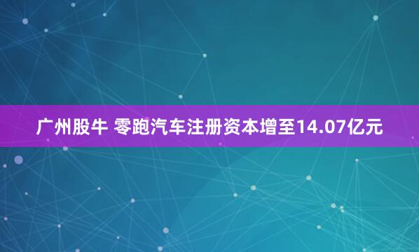广州股牛 零跑汽车注册资本增至14.07亿元