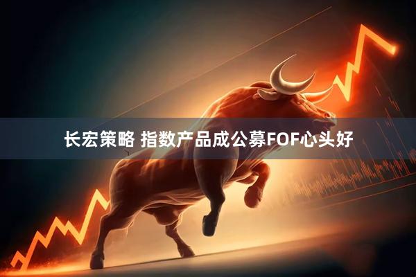 长宏策略 指数产品成公募FOF心头好