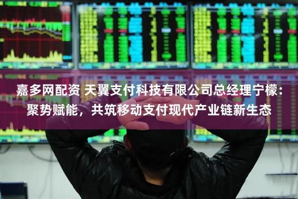 嘉多网配资 天翼支付科技有限公司总经理宁檬:聚势赋能,共筑移动支付现代产业链新生态